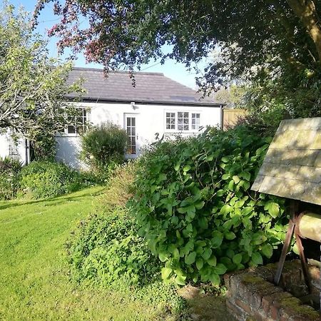 Cozy Country Cottage With Beautiful Rural Views New Quay Buitenkant foto