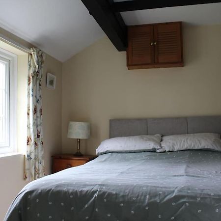 Cozy Country Cottage With Beautiful Rural Views New Quay Buitenkant foto