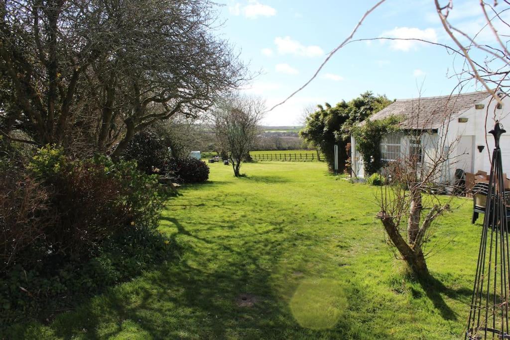 Cozy Country Cottage With Beautiful Rural Views New Quay Buitenkant foto
