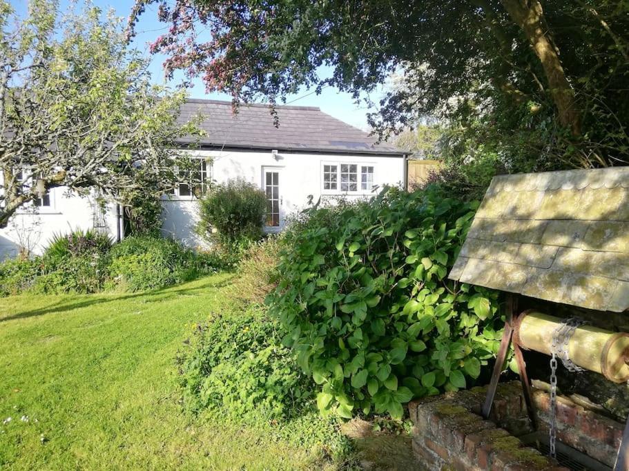 Cozy Country Cottage With Beautiful Rural Views New Quay Buitenkant foto