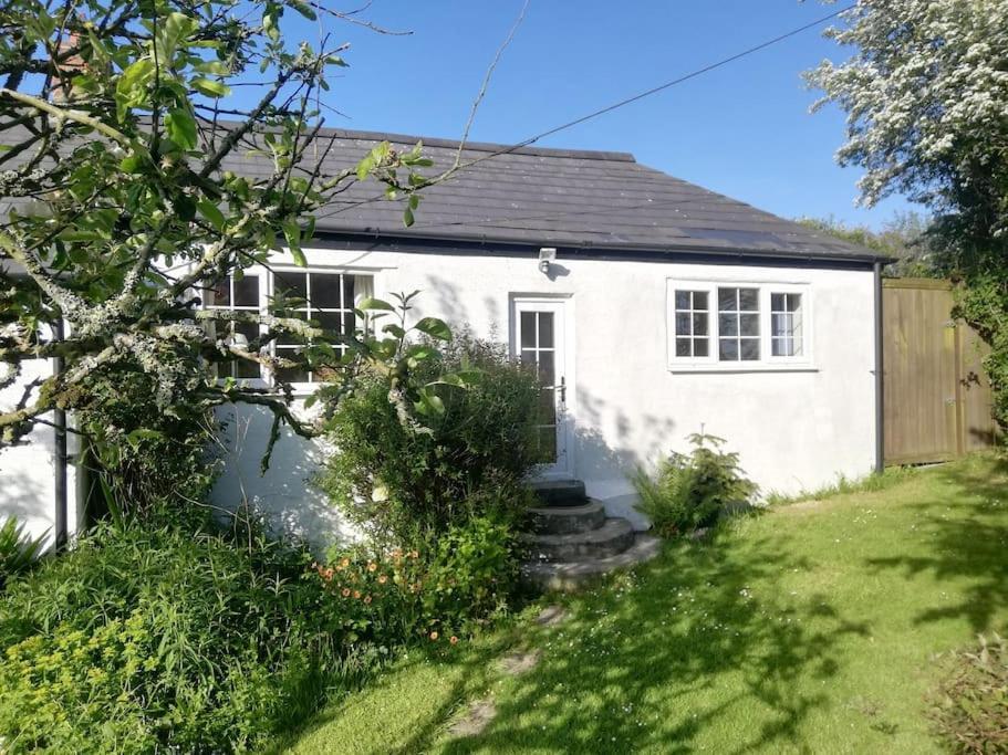 Cozy Country Cottage With Beautiful Rural Views New Quay Buitenkant foto